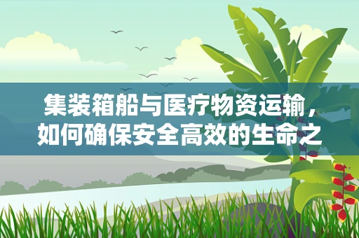 集装箱船与医疗物资运输，如何确保安全高效的生命之箱？