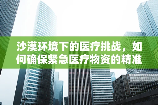 沙漠环境下的医疗挑战，如何确保紧急医疗物资的精准翻译？