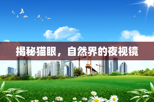 揭秘猫眼，自然界的夜视镜
