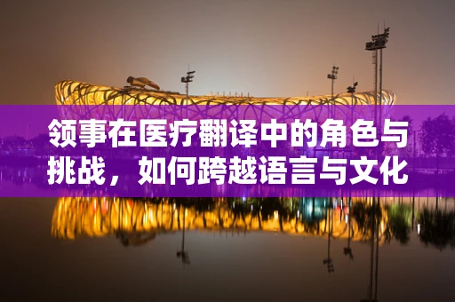 领事在医疗翻译中的角色与挑战，如何跨越语言与文化的鸿沟？