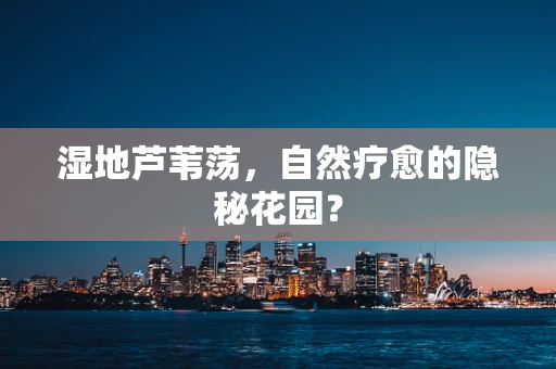 湿地芦苇荡，自然疗愈的隐秘花园？