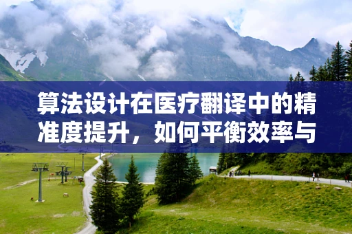 算法设计在医疗翻译中的精准度提升，如何平衡效率与准确性？