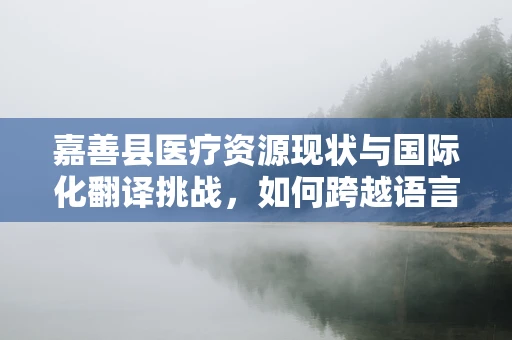 嘉善县医疗资源现状与国际化翻译挑战，如何跨越语言障碍？