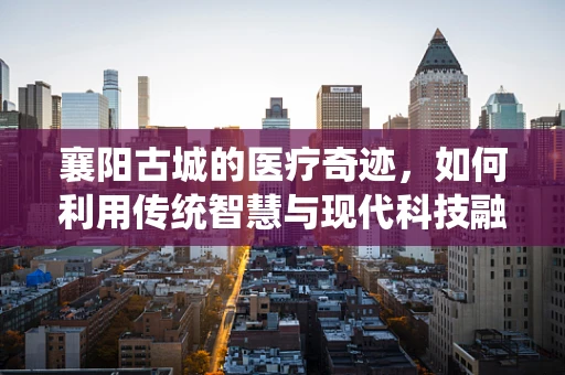 襄阳古城的医疗奇迹，如何利用传统智慧与现代科技融合，提升地方医疗翻译的精准度？