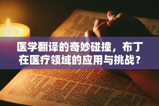 医学翻译的奇妙碰撞，布丁在医疗领域的应用与挑战？