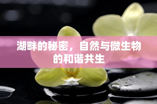 湖畔的秘密，自然与微生物的和谐共生