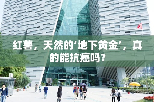 红薯，天然的‘地下黄金’，真的能抗癌吗？