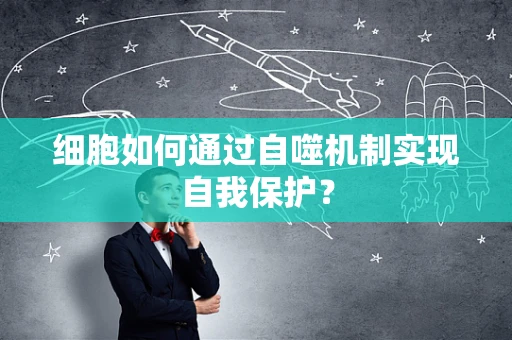 细胞如何通过自噬机制实现自我保护？