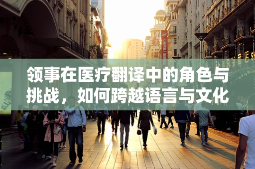 领事在医疗翻译中的角色与挑战，如何跨越语言与文化的鸿沟？