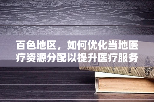 百色地区，如何优化当地医疗资源分配以提升医疗服务质量？