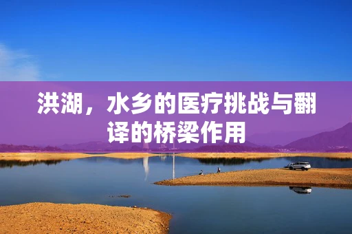 洪湖，水乡的医疗挑战与翻译的桥梁作用
