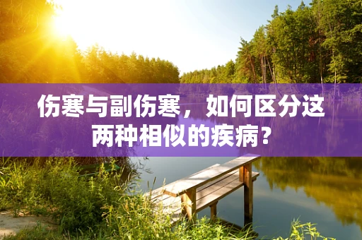 伤寒与副伤寒，如何区分这两种相似的疾病？