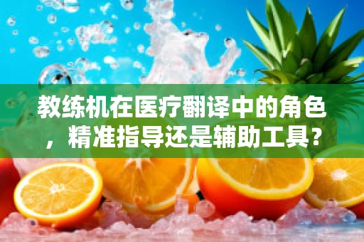 教练机在医疗翻译中的角色，精准指导还是辅助工具？