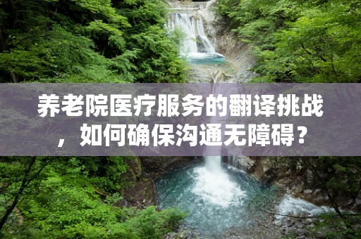 养老院医疗服务的翻译挑战，如何确保沟通无障碍？