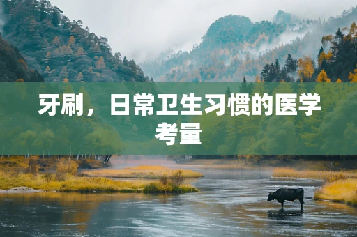 牙刷，日常卫生习惯的医学考量