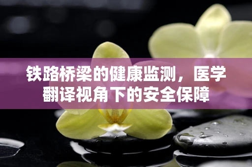 铁路桥梁的健康监测，医学翻译视角下的安全保障