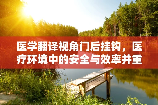 医学翻译视角门后挂钩，医疗环境中的安全与效率并重