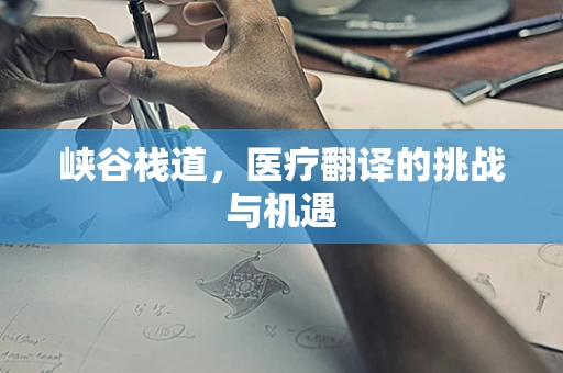 峡谷栈道，医疗翻译的挑战与机遇