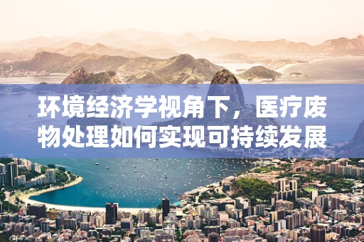 环境经济学视角下，医疗废物处理如何实现可持续发展？