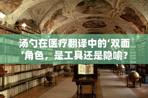 汤勺在医疗翻译中的‘双面’角色，是工具还是隐喻？