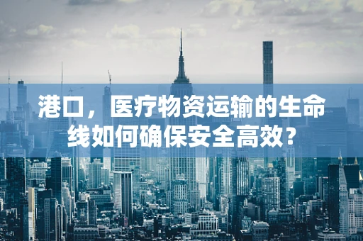 港口，医疗物资运输的生命线如何确保安全高效？