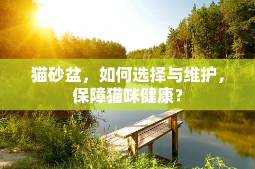 猫砂盆，如何选择与维护，保障猫咪健康？