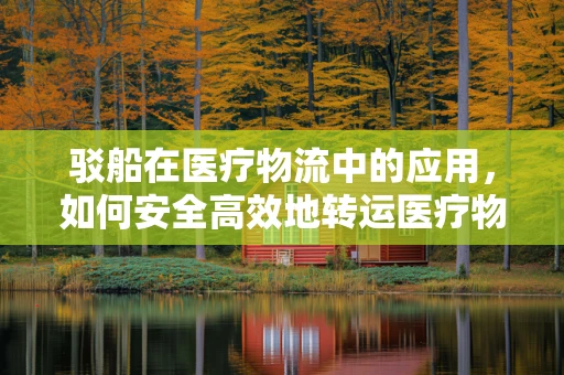 驳船在医疗物流中的应用，如何安全高效地转运医疗物资？
