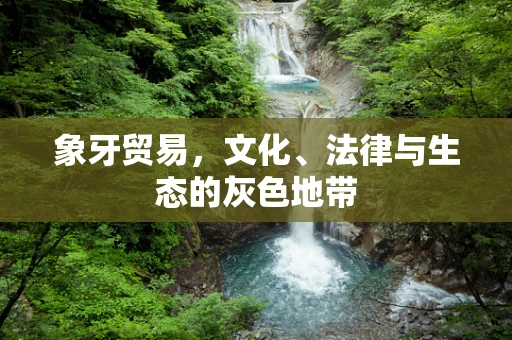 象牙贸易，文化、法律与生态的灰色地带