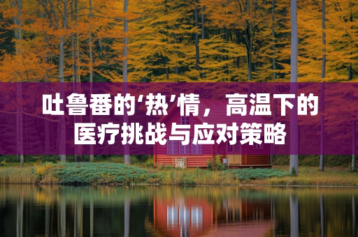 吐鲁番的‘热’情，高温下的医疗挑战与应对策略