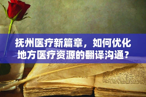抚州医疗新篇章，如何优化地方医疗资源的翻译沟通？