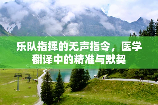 乐队指挥的无声指令，医学翻译中的精准与默契
