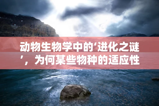 动物生物学中的‘进化之谜’，为何某些物种的适应性如此卓越？