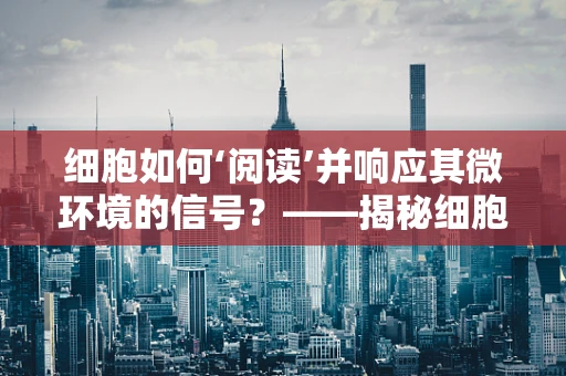 细胞如何‘阅读’并响应其微环境的信号？——揭秘细胞生物学的微观通讯机制