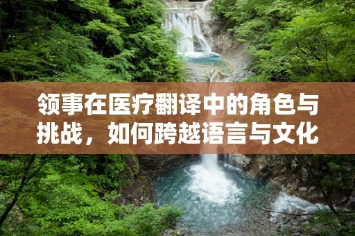 领事在医疗翻译中的角色与挑战，如何跨越语言与文化的鸿沟？