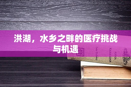 洪湖，水乡之畔的医疗挑战与机遇