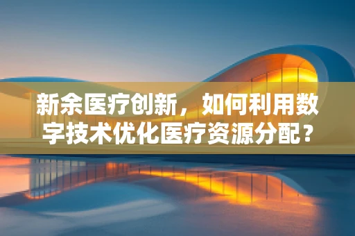 新余医疗创新，如何利用数字技术优化医疗资源分配？