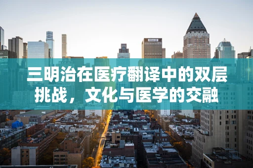 三明治在医疗翻译中的双层挑战，文化与医学的交融