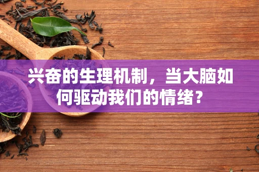 兴奋的生理机制，当大脑如何驱动我们的情绪？