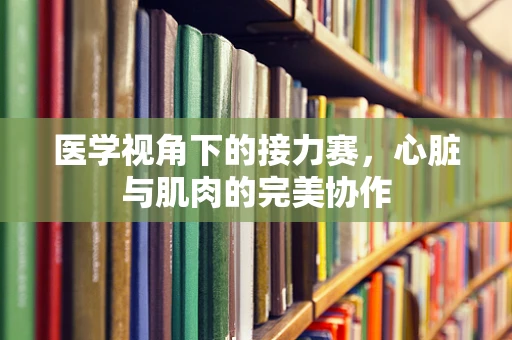 医学视角下的接力赛，心脏与肌肉的完美协作