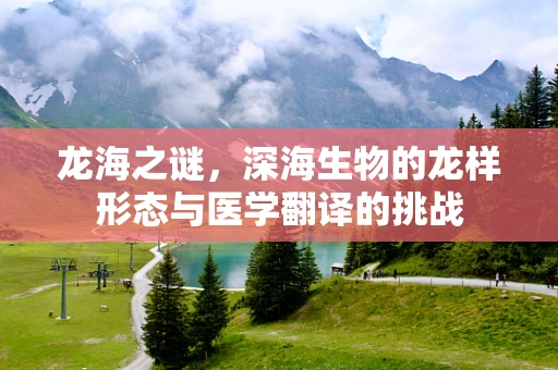 龙海之谜，深海生物的龙样形态与医学翻译的挑战