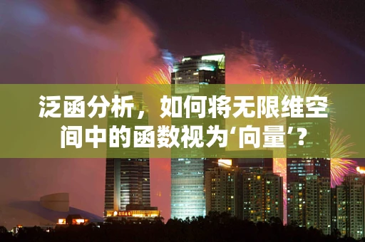 泛函分析，如何将无限维空间中的函数视为‘向量’？