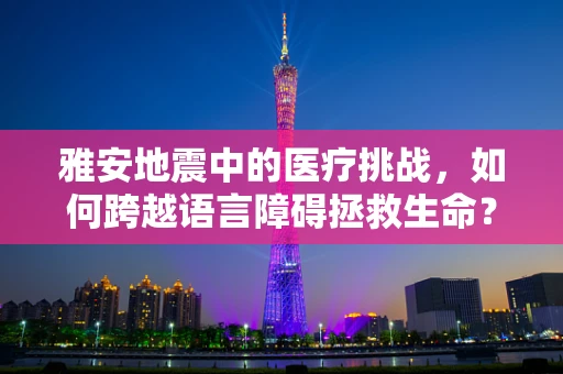 雅安地震中的医疗挑战，如何跨越语言障碍拯救生命？