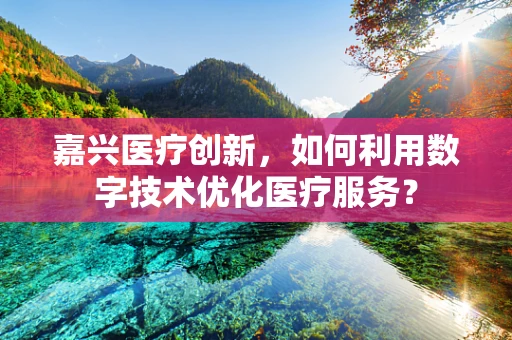 嘉兴医疗创新，如何利用数字技术优化医疗服务？