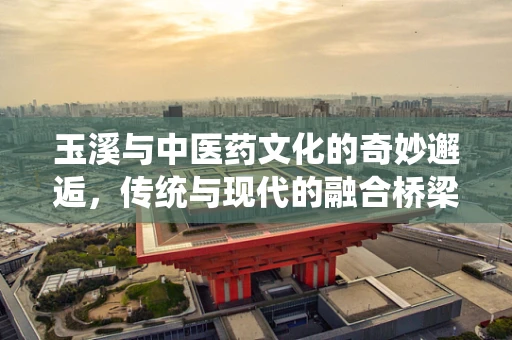 玉溪与中医药文化的奇妙邂逅，传统与现代的融合桥梁