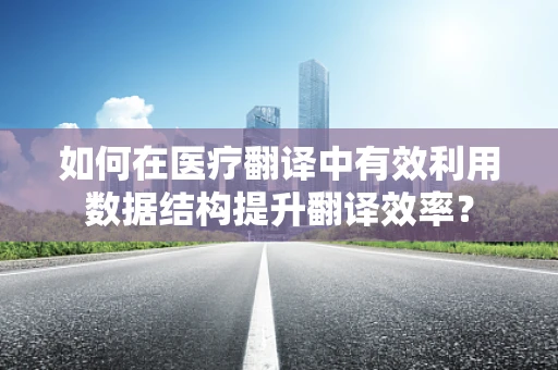 如何在医疗翻译中有效利用数据结构提升翻译效率？