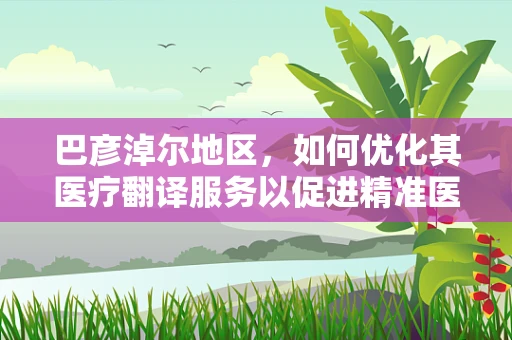 巴彦淖尔地区，如何优化其医疗翻译服务以促进精准医疗？