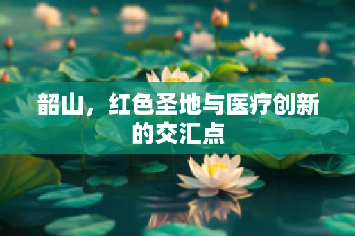 韶山，红色圣地与医疗创新的交汇点