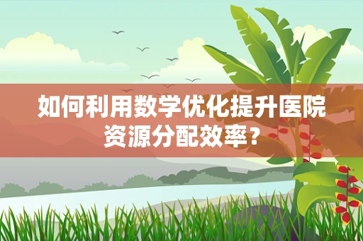 如何利用数学优化提升医院资源分配效率？