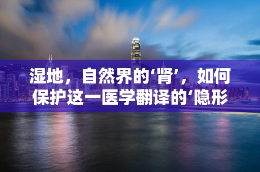 湿地，自然界的‘肾’，如何保护这一医学翻译的‘隐形宝藏’？