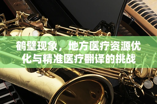 鹤壁现象，地方医疗资源优化与精准医疗翻译的挑战